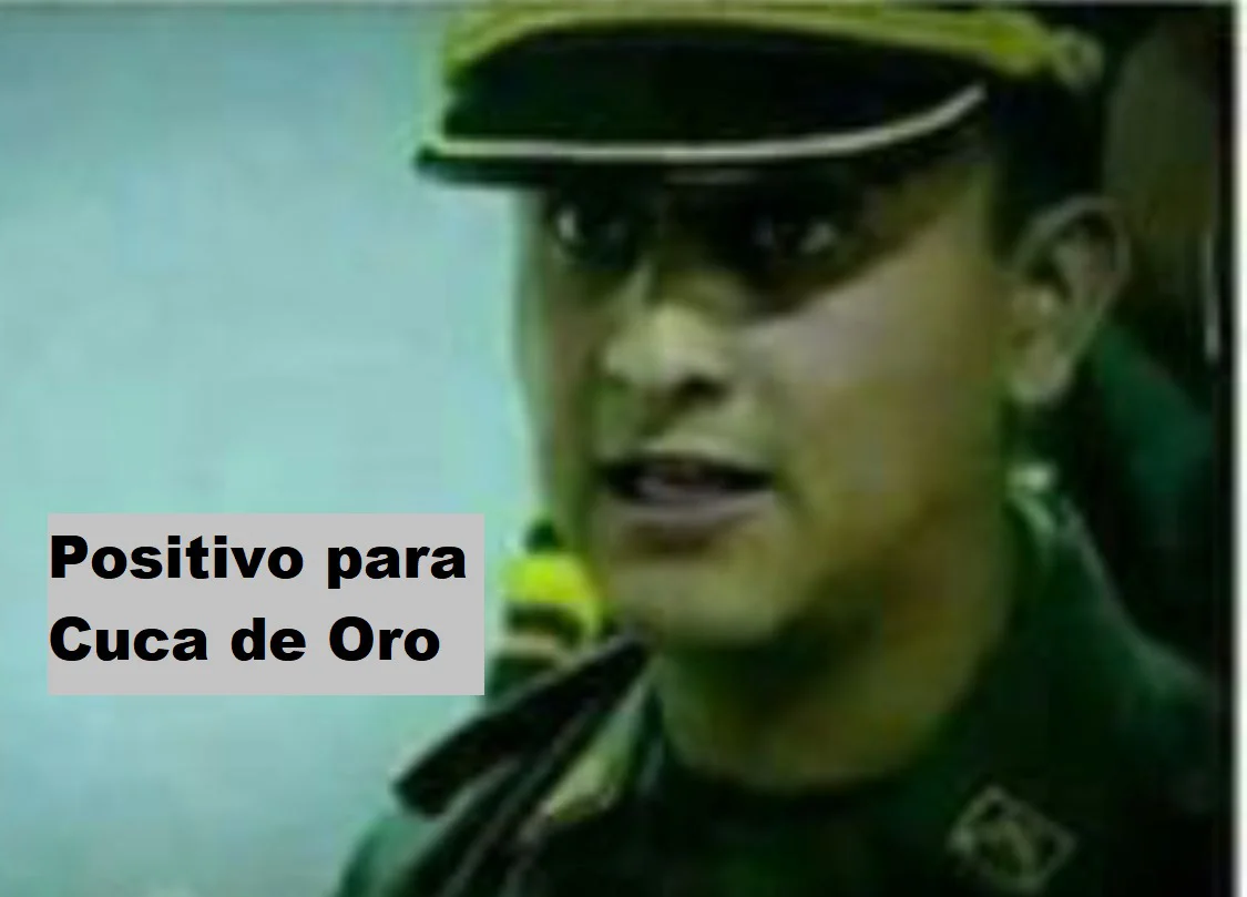 1697146892800.webp