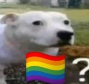 1748010788990.png