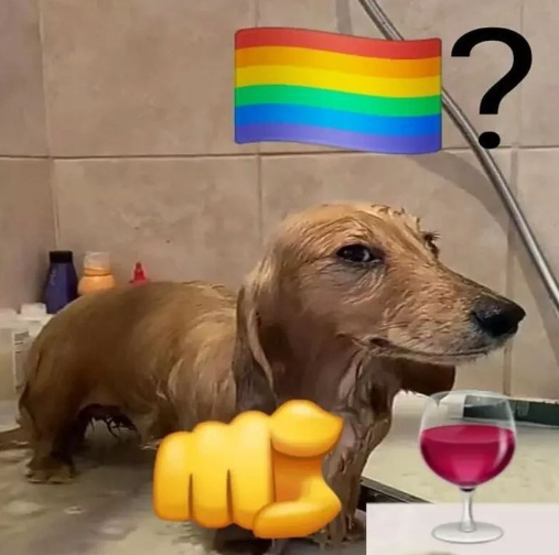 1748010826078.png