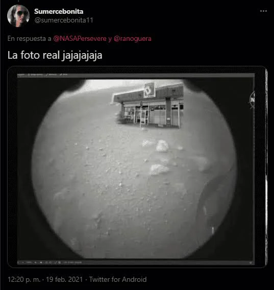 1762264033313.webp