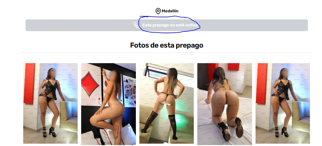 1765447890563.webp