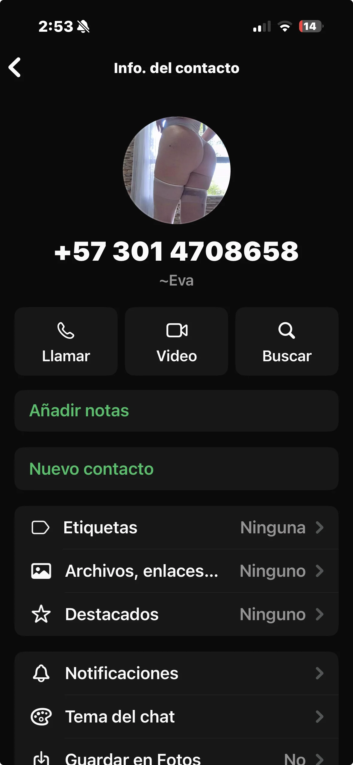 1772049225685.webp