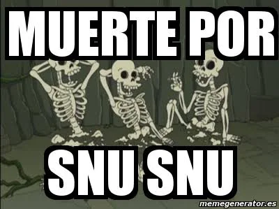 21243.webp