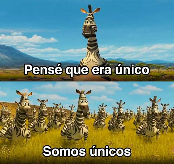 28661.webp