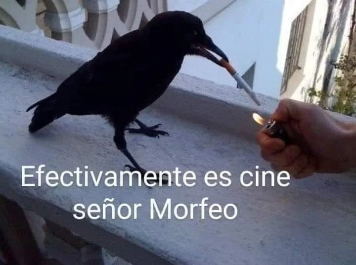 66e2f2e2f444282da3852419eba84425.webp