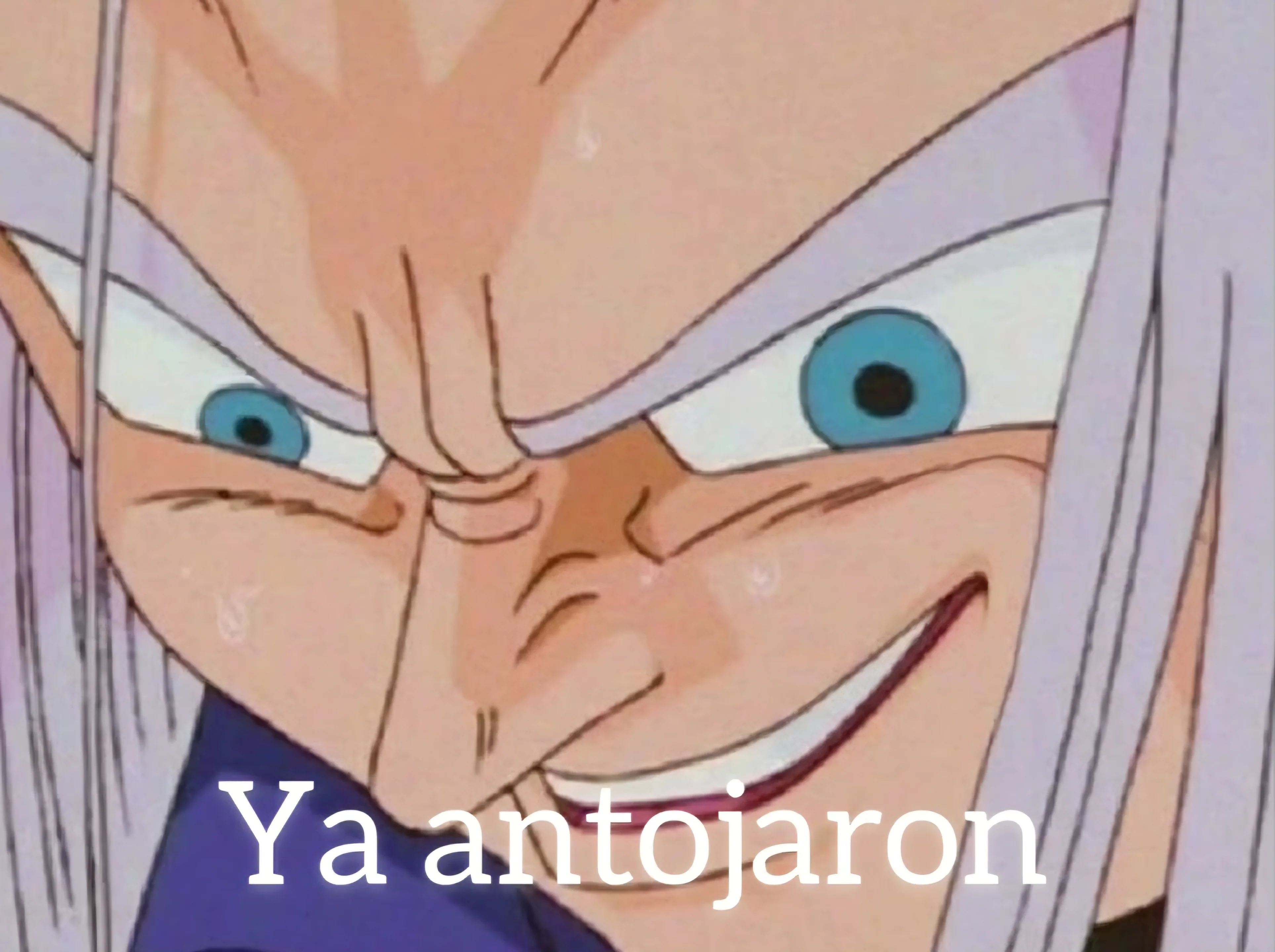 9039.webp