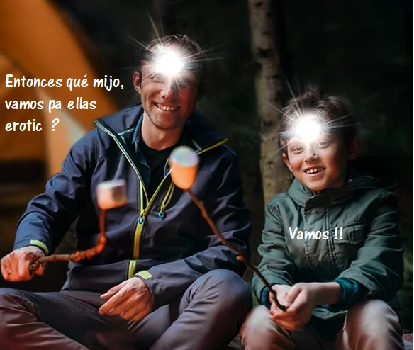 meme.webp