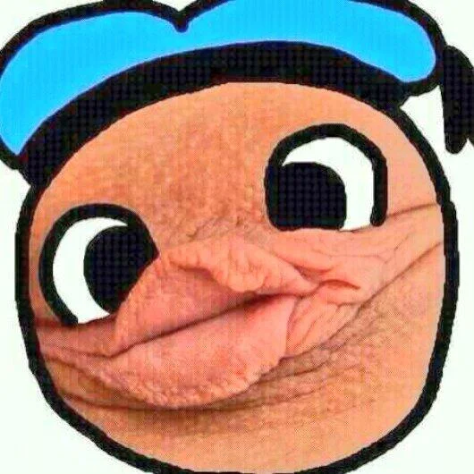 pato.webp