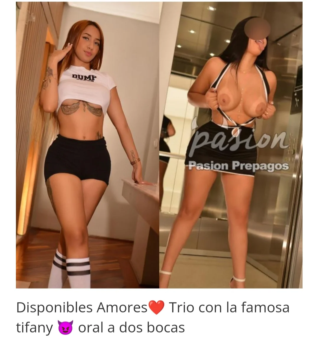Screenshot_20231227_013743.webp