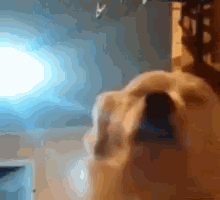 user808080.gif