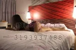 dc2694f53845a231b0e970634e365a98.webp