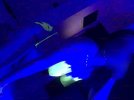 IMG_8102.jpeg