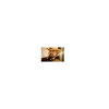 9D62C421-EF5D-496F-B045-59A5D9F0460E.webp