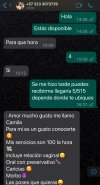 IMG_3972.jpeg