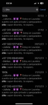 IMG_4006.webp