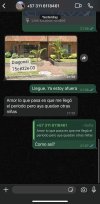 IMG_3732.jpeg