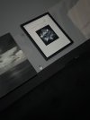 IMG_1169.jpeg