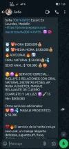 Screenshot_20240913_072819_com.whatsapp.webp