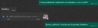 Screenshot 2024-10-29 033032.webp