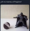 IMG_8606.jpeg