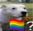 1748010788990.png