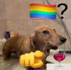 1748010826078.png
