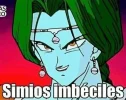 zarbon-simios-zarbon.webp