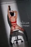 8c321cf319d7e179844a-333x500.webp