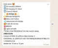 1765483039780.webp