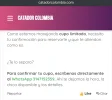 DF00A217-D0BE-4AE2-9A68-B9EBFD02167A.webp