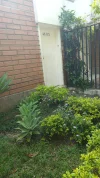 1000137874.webp