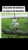 1000050923.webp