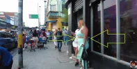 venescrenvera.webp