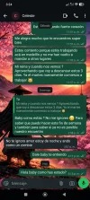 Screenshot_2026-05-19-15-24-13-129_com.whatsapp.webp