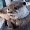 2EF54DAA-A685-4165-9AF2-3E3ED856E478.gif