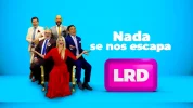 22445.webp