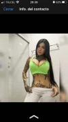 C6A42E12-F62C-40A5-B93E-77C7DB120DD1.webp