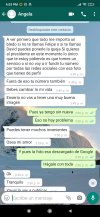 Screenshot_2021-02-03-16-03-08-500_com.whatsapp.jpg