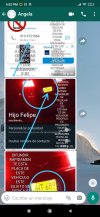 Screenshot_2021-02-03-16-02-55-249_com.whatsapp.jpg
