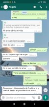 Screenshot_2021-02-03-16-02-37-682_com.whatsapp.jpg