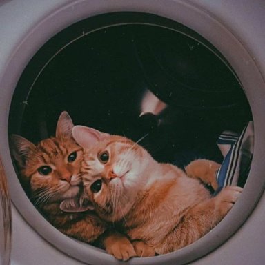 catadorcolombia.com