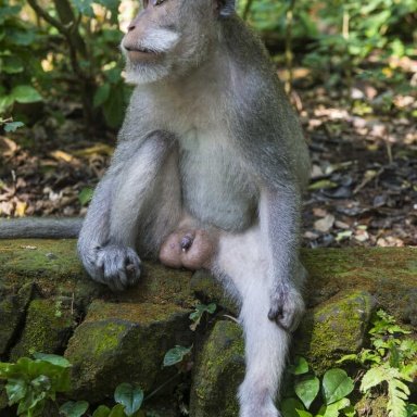 catadorcolombia.com