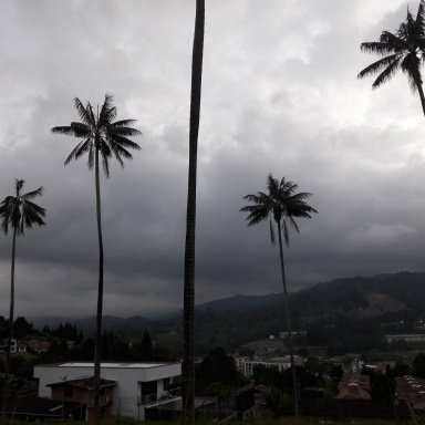 catadorcolombia.com