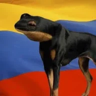 SapoPerro22H