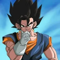 vegito69