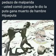 Usuario