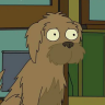 Cachorro Viejo