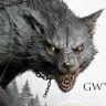 gaboarce