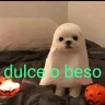 Eaglekll28