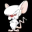 Cerebro
